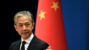 Pek&iacute;n considera que las restricciones de exportaci&oacute;n de la UE a China "no tienen sentido"