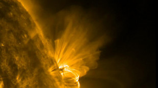 All'origine della vita c'è anche l'esuberante attività del Sole