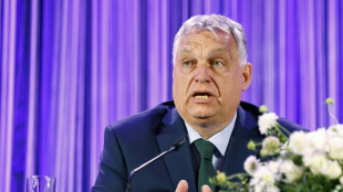 La Hongrie eurosceptique d'Orban prend la pr&eacute;sidence de l'UE