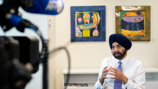 'Another arrow to the quiver': World Bank posts record private capital mobilization