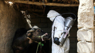 Irak trata de contener la fiebre hemorr&aacute;gica del Congo