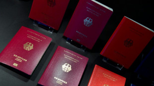 Einb&uuml;rgerungsrekord: 332.500 Ausl&auml;nder bekommen 2025 den deutschen Pass