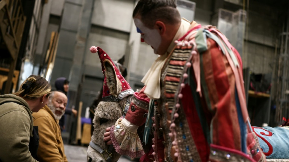 Pets, pedis and peppermints: When the diva is a donkey