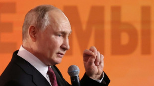 Putin visitar&aacute; Emiratos &Aacute;rabes Unidos y Arabia Saudita