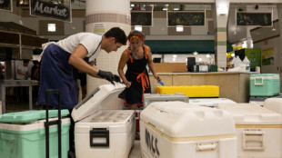 Chefs estrellas de Haw&aacute;i arman masiva operaci&oacute;n para alimentar sobrevivientes del incendio