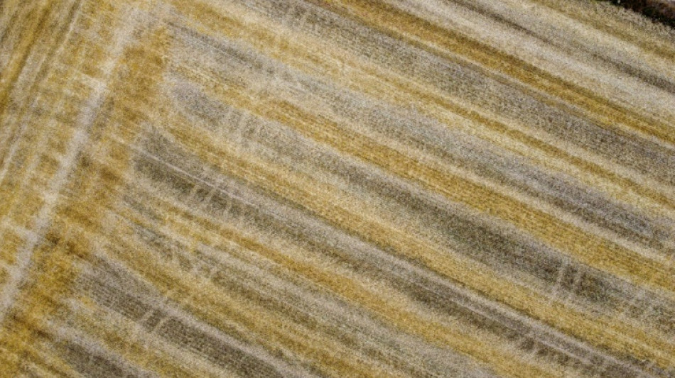 Taxe carbone: l'UE am&eacute;nage son dispositif pour les engrais face &agrave; la crise agricole