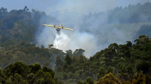 España divisa el fin de los incendios, Portugal pierde a otro bombero