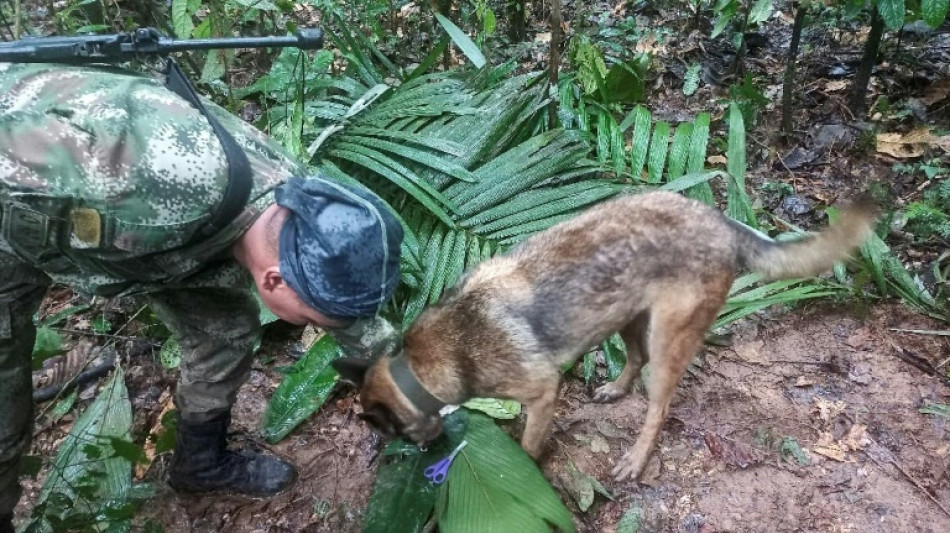Petro se retracta de su anuncio sobre rescate de ni&ntilde;os ind&iacute;genas en la selva colombiana