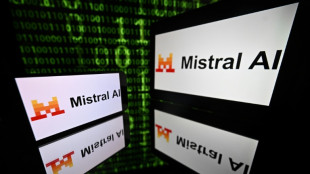 French AI firm Mistral to build data centres in Sweden