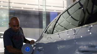 Los veh&iacute;culos el&eacute;ctricos ganan terreno en Arabia Saudita, pero como segundo coche