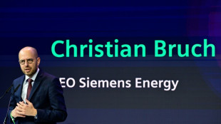 Plan de ayuda de 16.300 millones de d&oacute;lares para Siemens Energy