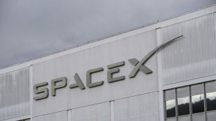 Rekord-B&ouml;rsengang: SpaceX k&ouml;nnte noch mehr einnehmen als erwartet