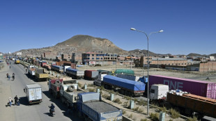 Transportistas bloquean carreteras en Bolivia por escasez de di&eacute;sel y d&oacute;lares