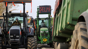 Prima intesa Ue sulle salvaguardie per gli agricoltori nel Mercosur