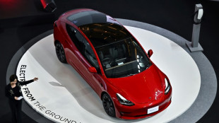 Entre nuevos rivales y un jefe distra&iacute;do, Tesla sufre en Wall Street