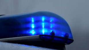 Bundespolizei gelingt in Ostdeutschland Schlag gegen mutma&szlig;liche Schleuserbande