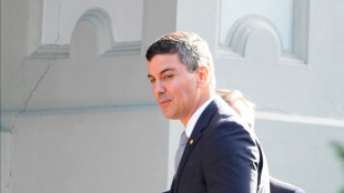 Presidente electo de Paraguay quiere negociaci&oacute;n comercial del Mercosur como bloque