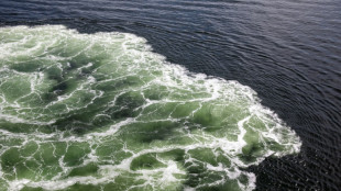 EU-Staaten prüfen Sanktionen gegen russische "Schattenflotte"