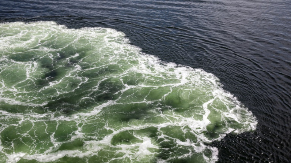 EU beschließt 15. Sanktionspaket gegen Russland