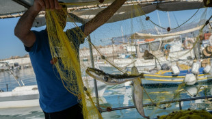 Gr&egrave;ce: les poissons-ballons d&eacute;vastent la p&ecirc;che en Cr&egrave;te