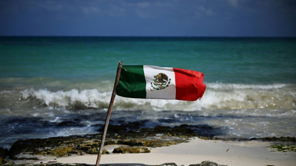 M&eacute;xico se alista para declarar &aacute;rea natural protegida unos terrenos de una minera de EEUU