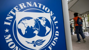 El FMI, preocupado por el aumento sostenido de la deuda p&uacute;blica mundial