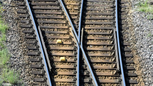 "SZ": Grünen-Fraktion beschließt Reformpapier zur Deutschen Bahn