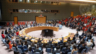 Il consiglio di sicurezza dell'Onu condanna raid in Qatar