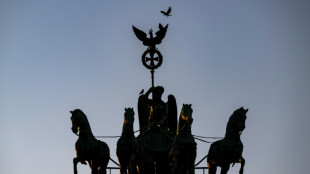 Propalästinensische Aktivisten gelangen mit Hebebühne auf Brandenburger Tor