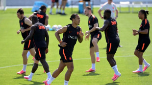 Sele&ccedil;&atilde;o holandesa abre as portas ao p&uacute;blico em seu primeiro treino em Kansas City
