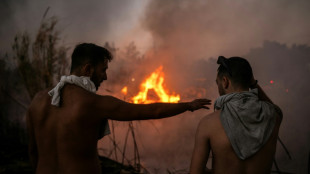 Bombeiros progridem em luta contra grande inc&ecirc;ndio perto de Atenas