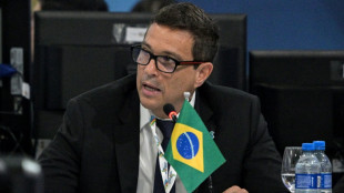 El Banco Central de Brasil se dispone a elevar de nuevo la tasa de inter&eacute;s