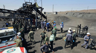 M&aacute;s de 50 muertos tras una explosi&oacute;n en una mina de carb&oacute;n en Ir&aacute;n