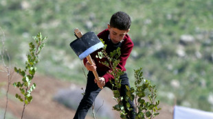 Land-based climate plans 'unrealistic': report