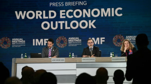 El FMI prev&eacute; un crecimiento de la econom&iacute;a mundial del 3,2% este a&ntilde;o y en 2025