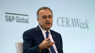 Aramco y ExxonMobil cuestionan la estrategia de transici&oacute;n hacia las energ&iacute;as limpias