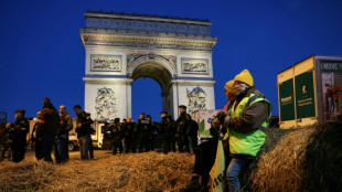 Agricultores franceses protestan junto al Arco del Triunfo de Par&iacute;s