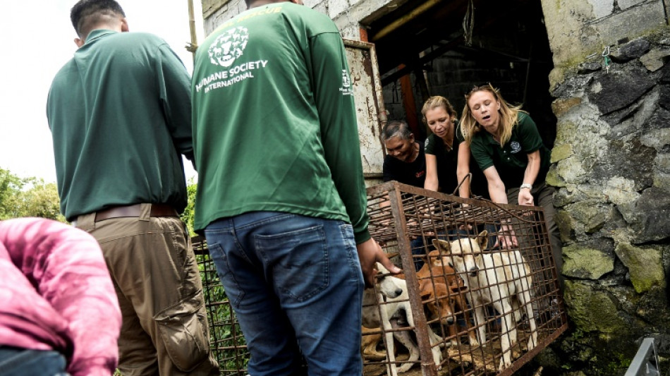 Mercado en Indonesia proh&iacute;be comercio de carne de gato y perro