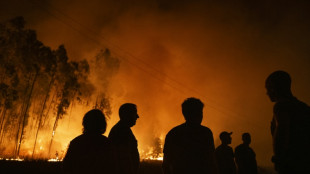 La plupart des incendies ma&icirc;tris&eacute;s au Portugal