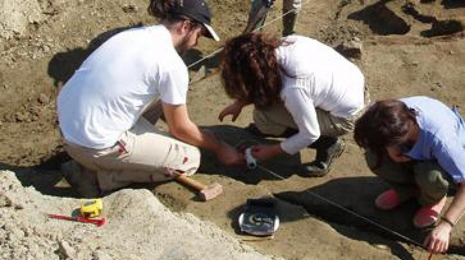 Trovati in Spagna i possibili resti degli elefanti di Annibale