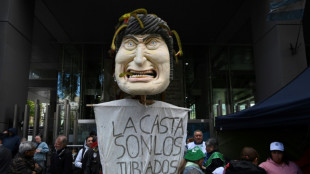 Primeiras reformas de Milei avan&ccedil;am na C&acirc;mara Baixa argentina