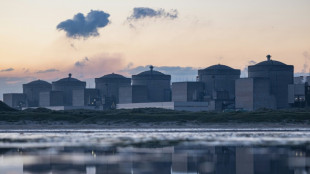 &Aacute;guas-vivas for&ccedil;am paralisa&ccedil;&atilde;o de tr&ecirc;s reatores nucleares na Fran&ccedil;a