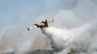 Mejora la situaci&oacute;n provocada por los incendios forestales en Grecia, seg&uacute;n los bomberos