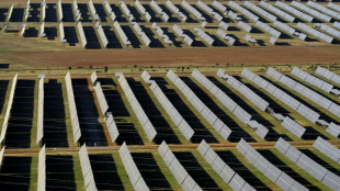 Un grupo emirat&iacute; renuncia a comprar el 40% del espa&ntilde;ol Naturgy