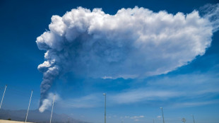 La erupci&oacute;n del Etna causa el cierre del aeropuerto de Catania, en Sicilia