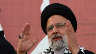 Ir&aacute;n pide a pa&iacute;ses musulmanes que designen a ej&eacute;rcito de Israel como "organizaci&oacute;n terrorista"