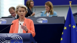 China advierte del impacto negativo de una investigaci&oacute;n de la UE sobre sus autom&oacute;viles