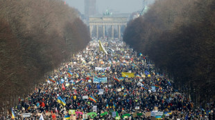"Gloire &agrave; l'Ukraine": une mar&eacute;e jaune et bleue en Europe
