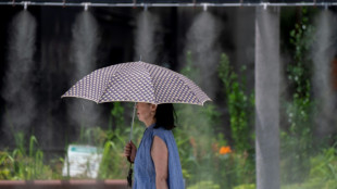 Seis muertos por una ola de calor en Jap&oacute;n