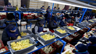 Revisan a la baja el crecimiento de la econom&iacute;a espa&ntilde;ola en 2025, hasta el 2,6%